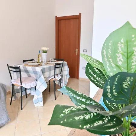 Izzhome Flamingo Pula
